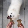 Benebone Jouet à mâcher pack puppy dental Chew-Wishbone bacon pour Chien