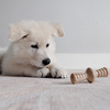 Benebone Jouet à mâcher pack puppy Maplestick-Zaggler bacon pour Chien