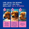 Shampooing anti-démangeaisons pour chien