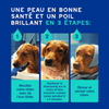Shampooing anti-odeurs pour chien