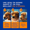 Shampoing et soin démêlant 2-en-1 pour chien