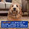 Spray démêlant Douxo Spa pour chien 295 ml