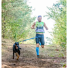 Ceinture baudrier aircross noire pour canicross, skijoring, canirando pour Chien