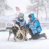 Harnais Polar Quest pour sport canin rouge/noir pour Chien
