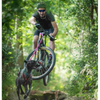 Laisse cani-VTT Bikejor noire pour chien