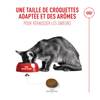 ROYAL CANIN Fussy – croquettes chat adulte à l’appétit difficile