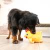 KONG Peluche Layerz Forage Coq d’enrichissement chien M