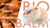 Bio Balm Chien 50 ml – Baume truffe & coussinets