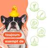 Tropiclean shampoing et après-shampoing 2 en 1 papaye 355 ml pour Chien