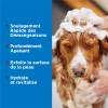 Tropiclean shampoing anti-démangeaisons Oxymed pour chien