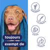 Tropiclean shampoing anti-démangeaisons Oxymed pour chien