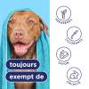 Tropiclean Après-shampoing anti-démangeaisons Oxymed pour chien
