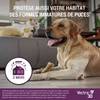 Vectra 3D Chien - Pipettes antiparasitaires contre puces