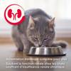 Beaphar multipack pâtées rénales pour chat