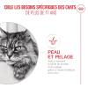 ROYAL CANIN Ageing 11+ bouchées en gelée 12 x 85 g pour chat senior