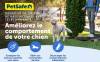 Collier de dressage électrique rechargeable pour chien PetSafe