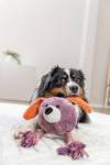 Jouet peluche pour chien avec corde intérieure et couineur