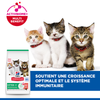 Hill's Science Plan Kitten croquettes pour chaton au saumon