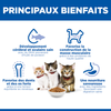 Hill's Science Plan Kitten croquettes pour chaton au saumon