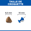 Hill's Science Plan Kitten croquettes pour chaton au saumon