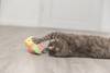Jouet oiseau frétillant interactif rechargeable pour chat