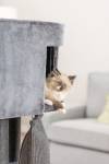 Trixie Active - Arbre à chat avec maison et sac d'escalade