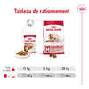 ROYAL CANIN Medium Ageing bouchées en sauce pour chien 10 x