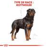 ROYAL CANIN Croquettes Rottweiler Adult