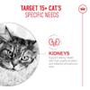 ROYAL CANIN Ageing 15+ mousse Airlift chat senior