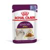 ROYAL CANIN Sensory Smell pâtée en gelée pour chat