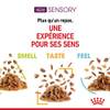 ROYAL CANIN Sensory Smell pâtée en gelée pour chat