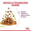 ROYAL CANIN Sensory Smell pâtée en gelée pour chat