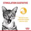 ROYAL CANIN Sensory Taste pâtée en gelée pour chat