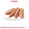 ROYAL CANIN Light Weight Care mousse pour chien