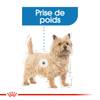 ROYAL CANIN Light Weight Care mousse pour chien