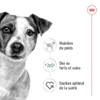 ROYAL CANIN Mini Adult en mousse