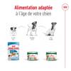 ROYAL CANIN Mini Adult en mousse