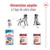 ROYAL CANIN Medium Adult en mousse