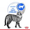 ROYAL CANIN Indoor Sterilised Adult en gelée