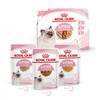 ROYAL CANIN Kitten Multipack pâtées sauce gelée mousse