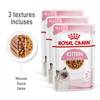 ROYAL CANIN Kitten Multipack pâtées sauce gelée mousse