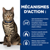 Hill's Prescription Diet Metabolic pâtée chat 12 x 85 g