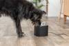 Fontaine à eau Aqua Pure en inox pour chien 2 L Trixie