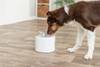 Fontaine à eau Aqua Pure en inox pour chien 2 L Trixie