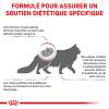 Royal Canin Veterinary Renal Special pour chat - Sac de 2 kg