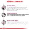 Royal Canin Veterinary Renal Special pour chat - Sac de 2 kg