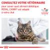 Royal Canin Veterinary Renal Special pour chat - Sac de 2 kg