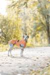 Imperméable pour chien Vimy orange Trixie