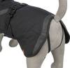 Manteau chien d'hiver BE NORDIC Hamburg Trixie