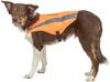 Gilet chien sécurité orange fluo réfléchissant Trixie